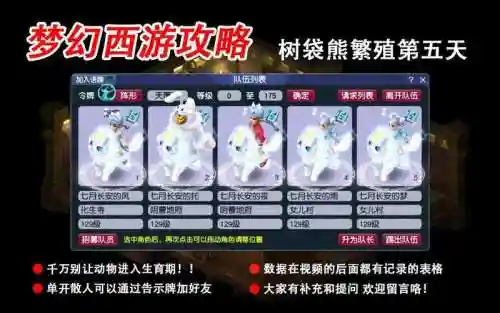 梦幻西游树袋熊幼年期_1