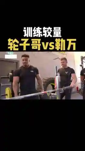 轮子哥阵容