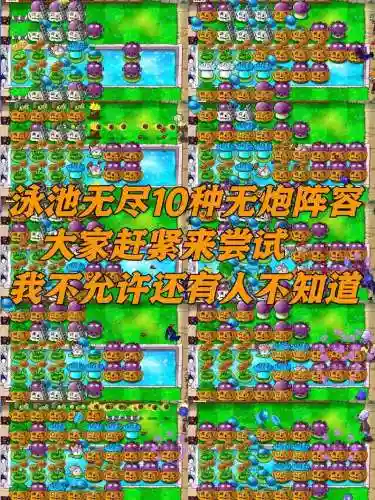 极地炮手阵容插图