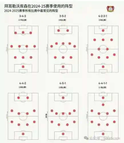 343阵容位置搭配插图1