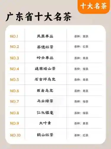 新茶阵容名单插图
