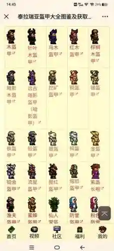 泰拉瑞亚战士防御装备大全插图