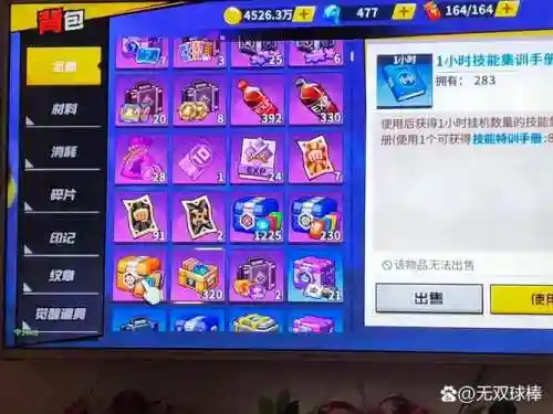 最强之男装备_1插图