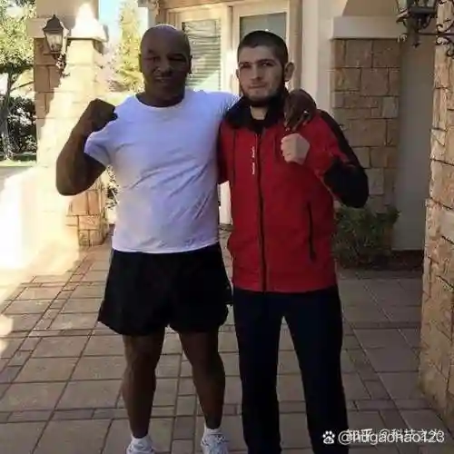 ufc小鹰阵容_1
