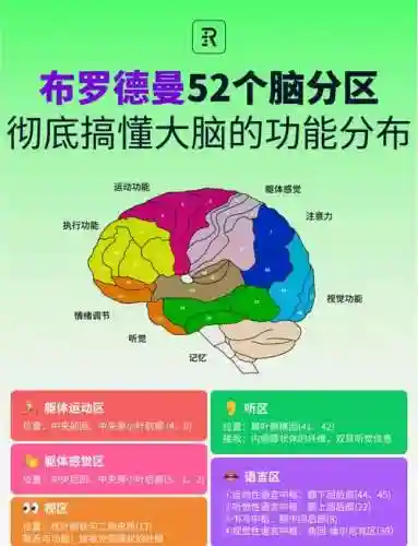 brainiton攻略大全60插图