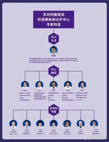 专家阵容最多插图