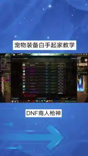 年套宠物装备蓝色插图
