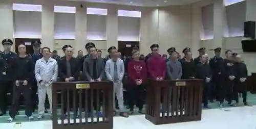 财产没收阵容