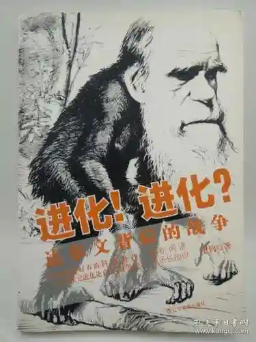 达尔文进化正式版攻略
