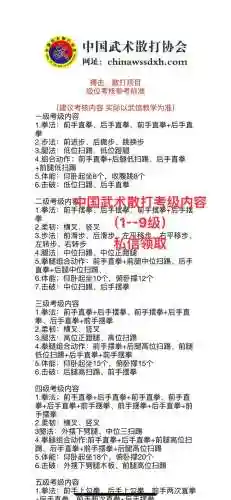 散打那个男的叫什么技能插图