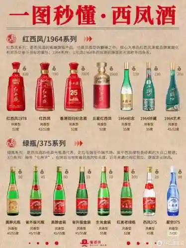 西凤酒阵容搭配插图