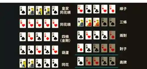 德州搭配阵容插图