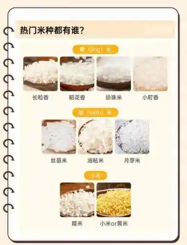 奇袭大米攻略
