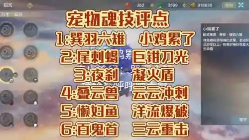 镇魂武器和春节宠物冲突吗插图
