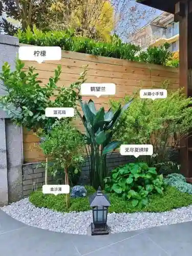 花园阵容搭配插图