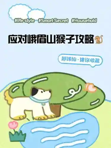 最新猴子攻略插图1