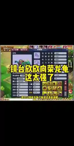 龙龟配什么技能