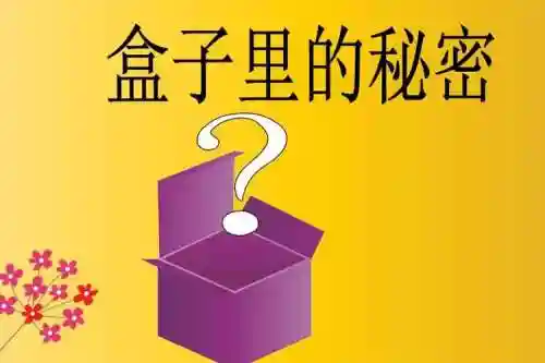 盒子里的秘密攻略大全插图1