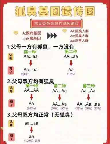 遗传技能分公母吗