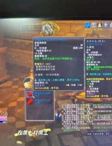 女圣骑士60级装备装备_1插图