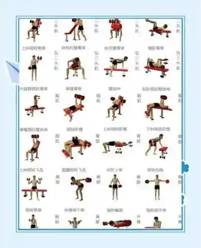 铁哑铃升级技能插图1