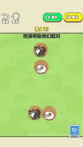 脑点子游戏攻略第116关