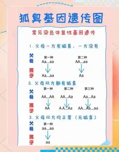遗传技能分公母吗插图