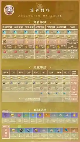 3.8主流阵容搭配