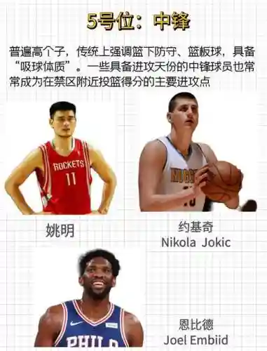 中锋教练搭配阵容插图