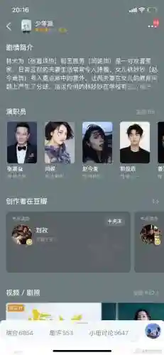 叛逆少年阵容搭配插图
