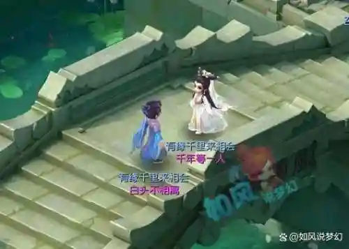 梦幻西游芒雪守卫一次性进去插图