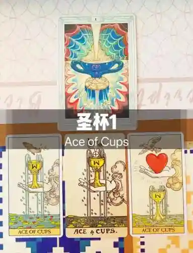 王牌圣杯的搭配阵容插图