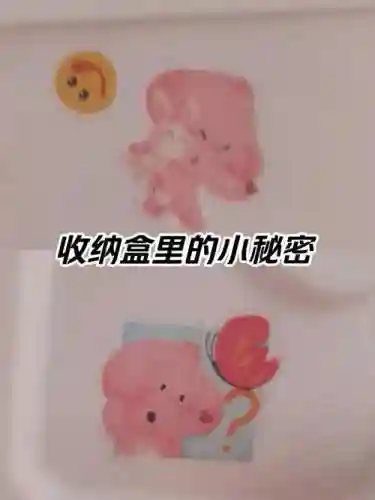 盒子里的秘密攻略大全插图