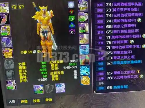 男圣骑士带的辅助装备_1