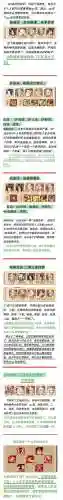 白虎新手阵容搭配插图