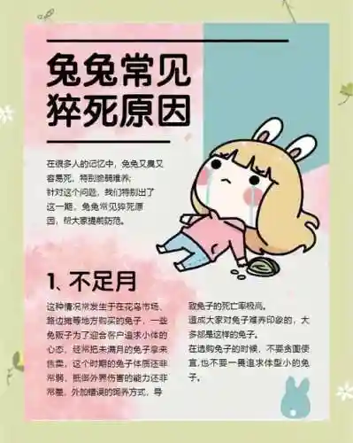死亡兔子攻略插图