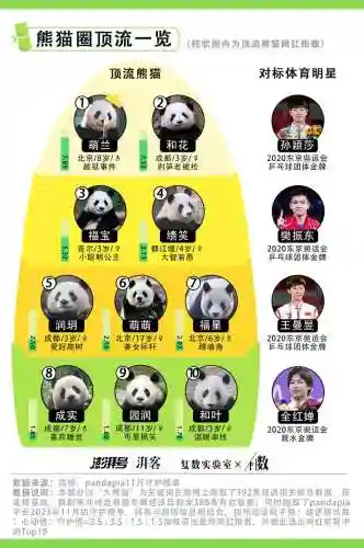 熊猫搭配什么阵容插图1