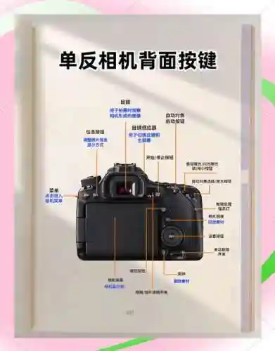 徕卡阵容搭配插图