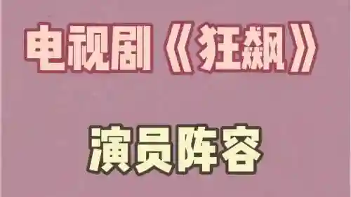 模仿狂飙阵容_2插图
