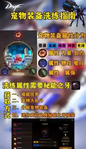 dnf2018年宠物装备插图