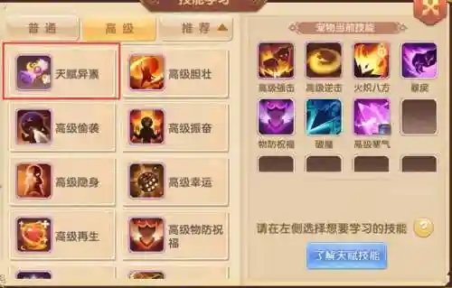 宠物天生技能怎么弄_1插图