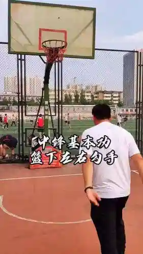 中锋教练搭配阵容
