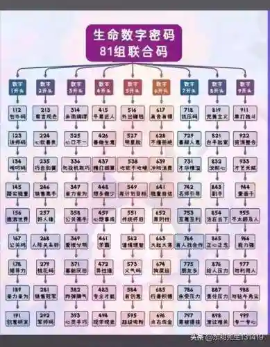 加密胶囊阵容搭配