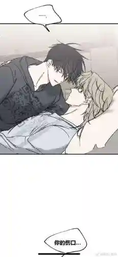 爱相随攻略程城_1插图