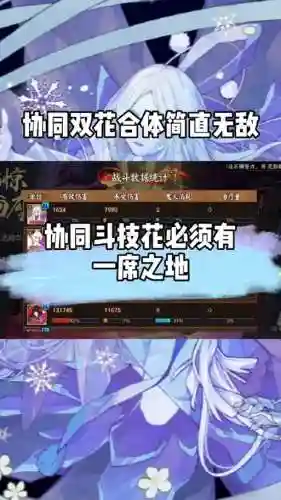 双花阵容插图