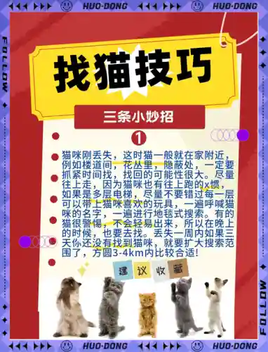 淘宝捉猫攻略_1