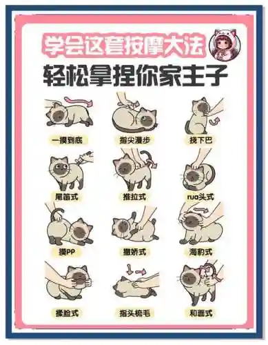 猫改技能选择，猫咪技能连招插图