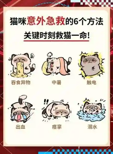 解救小猫游戏攻略，解救猫女插图