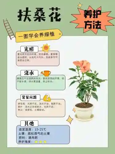 扶桑技能怎么点，扶桑100%有什么用插图