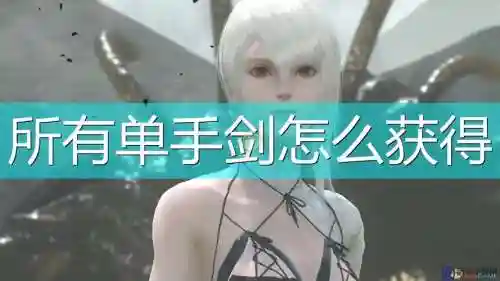 尼尔武器连段什么意思，尼尔武器技能效果